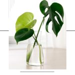 گلدان شیشه ای گردن باریک