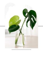 گلدان شیشه ای گردن باریک