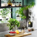 ست 4 عددی ظرف ادویه IKEA 365 - Image 5