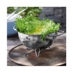 آبکش استیل 24 سانتی WMF Gourmet Strainer - Image 4