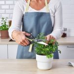 قیچی اشپزخانه ایکیا مدل IKEA SVARTFISK - Image 3