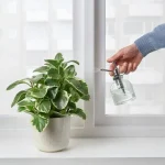 آبپاش شیشه ای ایکیا مدلIKEA SESAMFRON - Image 2