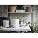 آبپاش شیشه ای ایکیا مدلIKEA SESAMFRON - Image 5