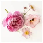شمع معطر با ظرف شیشه‌ای، رنگ صورتی روشن ، رایحه گلهای صورتی IKEA HOKGOK - Image 3
